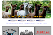 Ecommorce Website Design